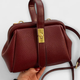 Joanna | Bolso Cruzado Mini Estructurado para Mujer con Asa Superior y Cierre Dorado