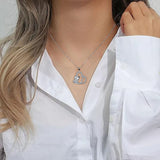 Hachi™ | Collar confiable